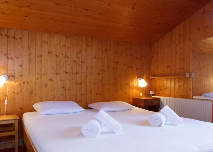 Chalet Les Etoiles By Interhome Nendaz