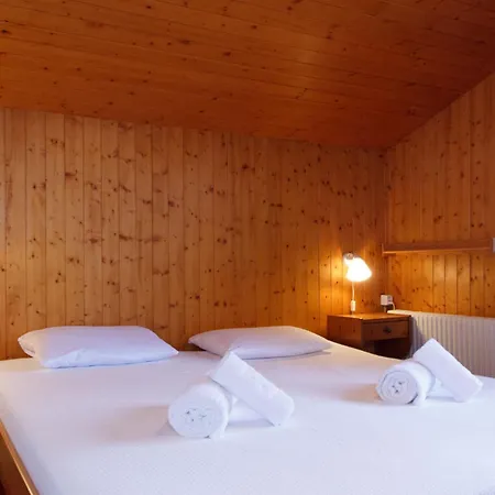 Alpstuga Les Etoiles By Interhome Nendaz